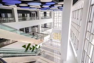 想創業不用愁 廈門管家式眾創空間，一站式服務助力創業者騰飛